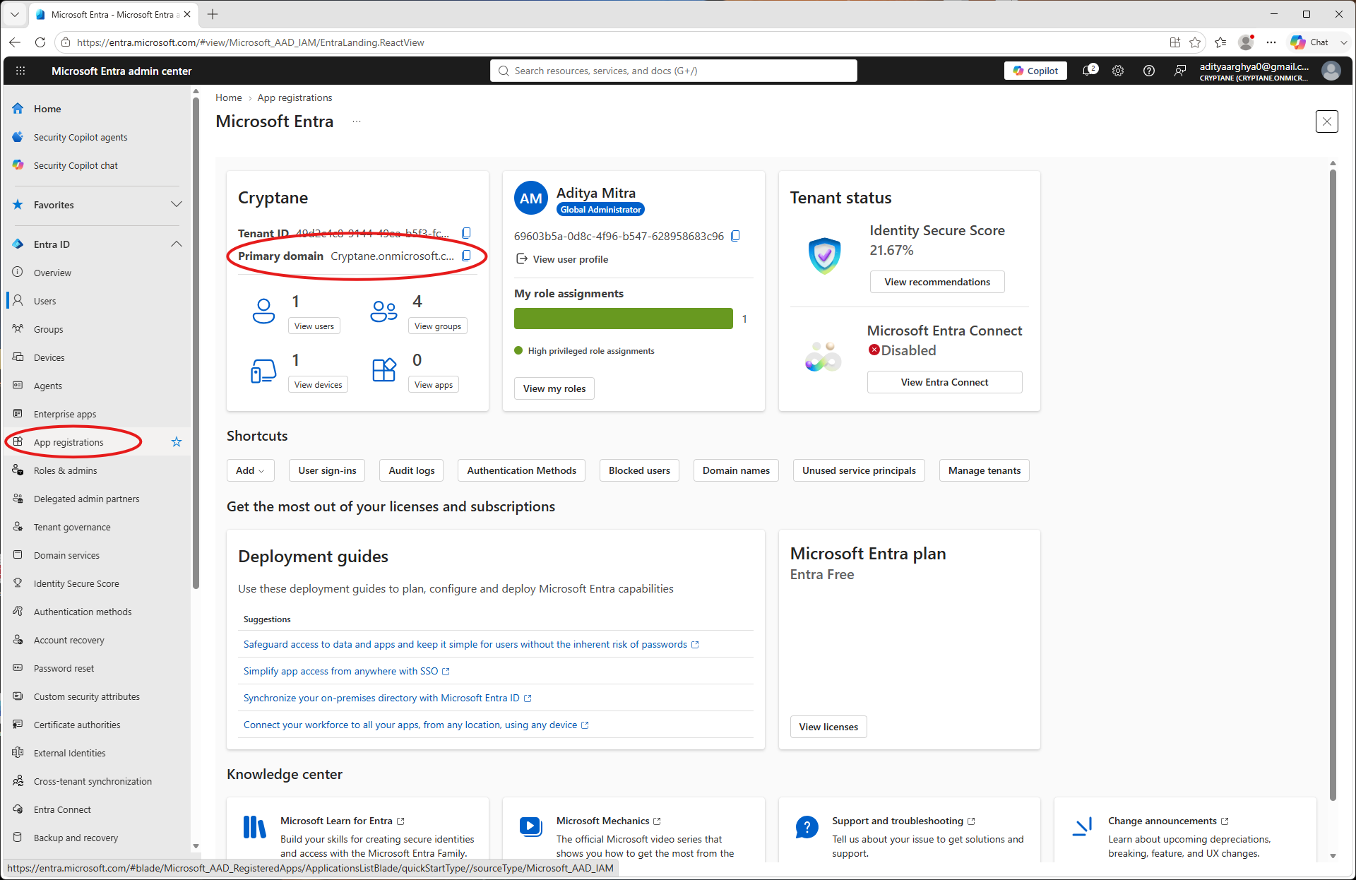 Entra Admin Portal